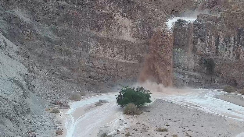 Фото: Дан Перкаш, Управление природы и парков