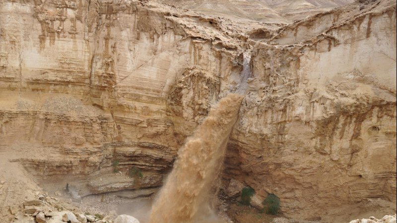 Фото: Shutterstock