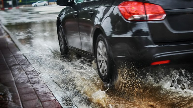 Фото: Shutterstock