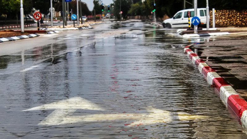 Фото: Shutterstock