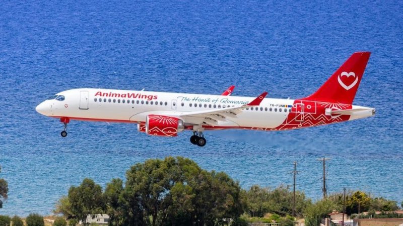 AnimaWings. Фото: Shutterstock