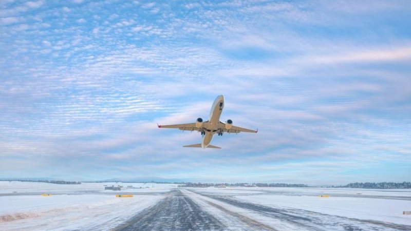 Фото: Shutterstock