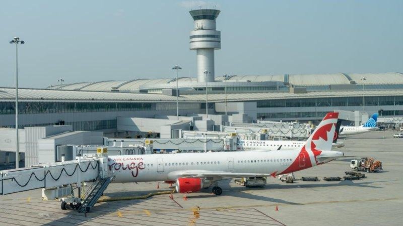 Фото: Shutterstock