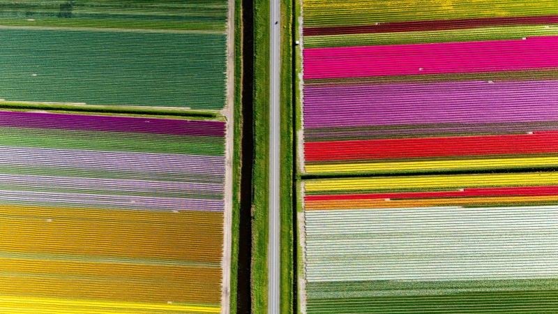 Нидерланды. Фото Shutterstock