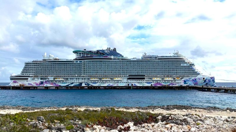 Фото: Амит Котлер