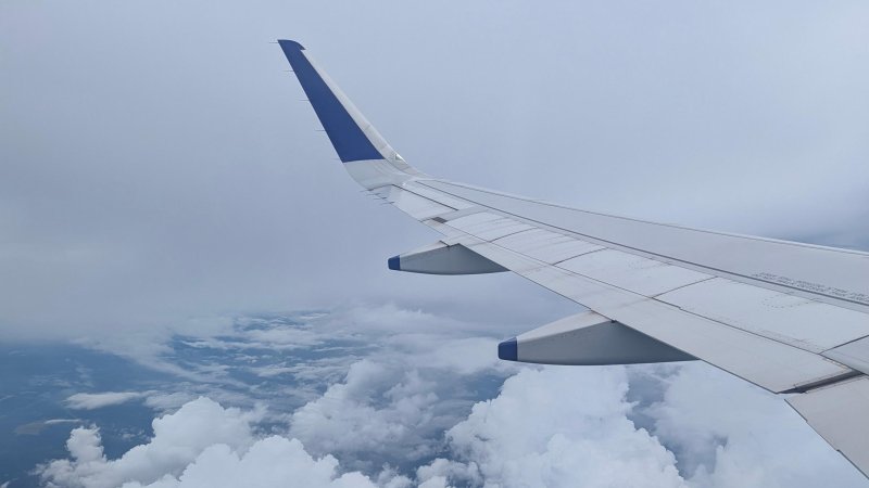 Фото: Shutterstock