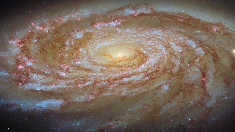 צילום: ESA/Hubble & NASA, D. Thilker