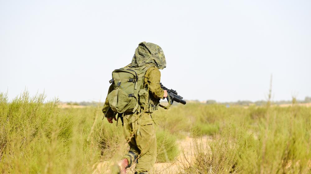צילום: Shutterstock