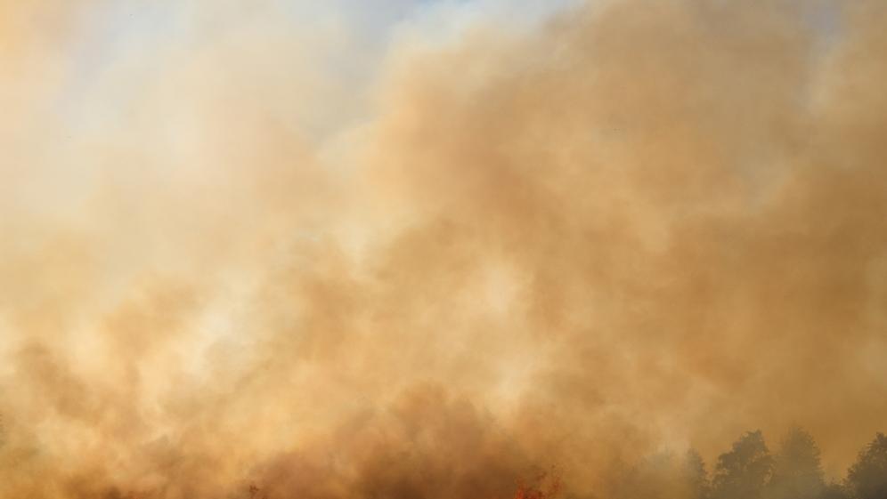 תמונת ארכיון. Shutterstock