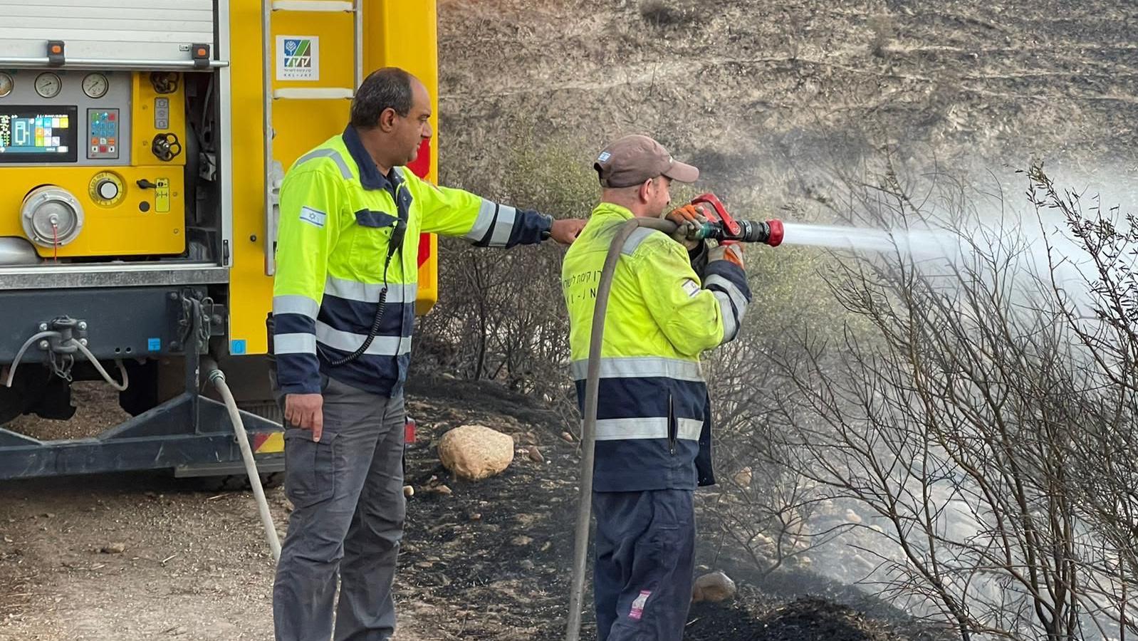 צילום: עובדי ויערני קק״ל