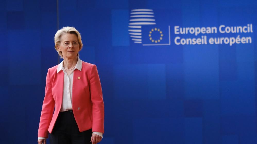 European Commission President Ursula von der Leyen.צילום: Shutterstock