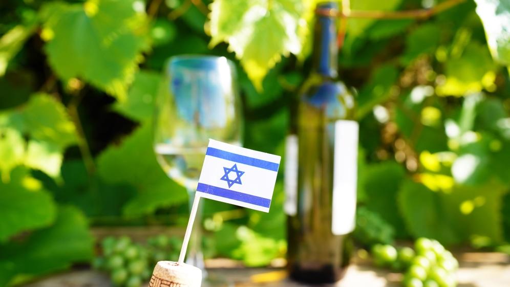 מפת היין החדשה של ישראל נחשפת. צילום: Shutterstock