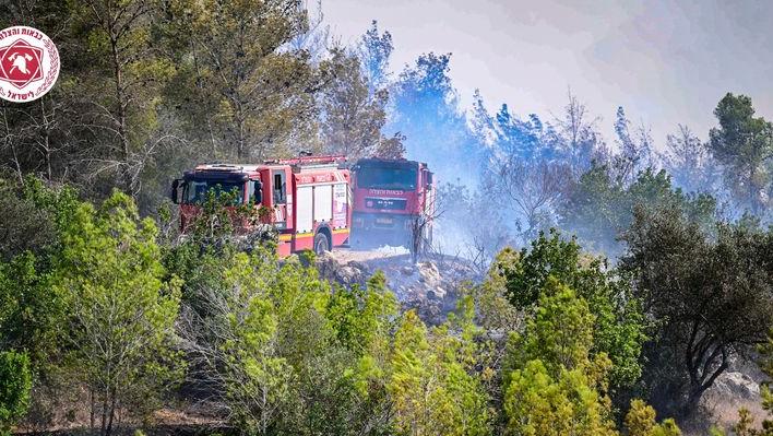 שריפת יער חרובים תחומה. צילום: קובי ריכטר, כבאות והצלה לישראל
