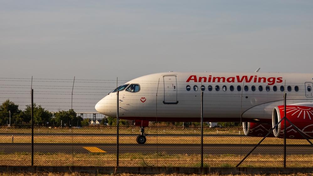  AnimaWings משעה את כל הטיסות עד 24 באוקטובר צילום: Shutterstock