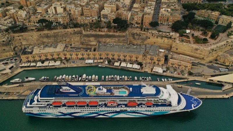 צילום: מ.ל.ת