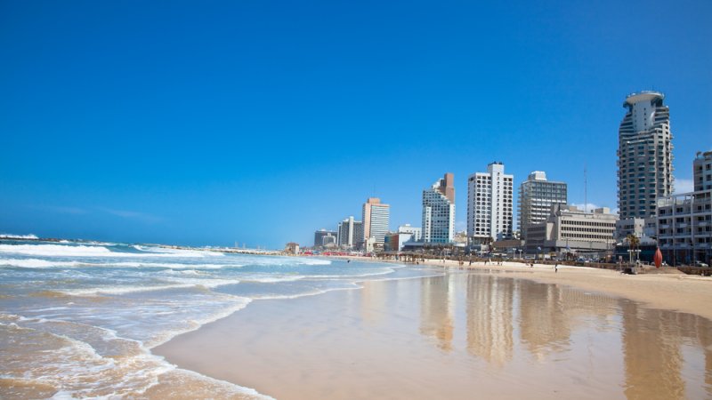 צילום: Shutterstock צילום: Shutterstock