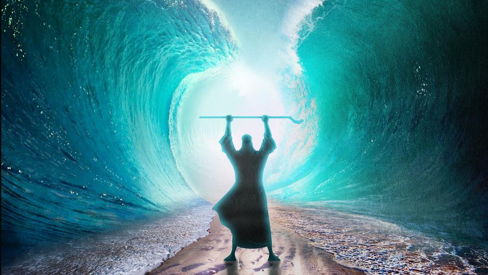 צילום: shutterstock