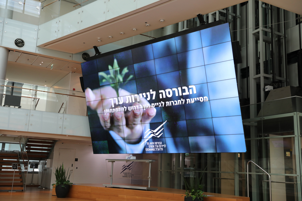 צילום: shutterstock