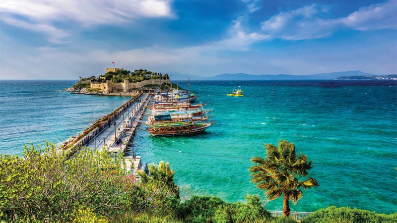 צילום: Shutterstock צילום: Shutterstock
