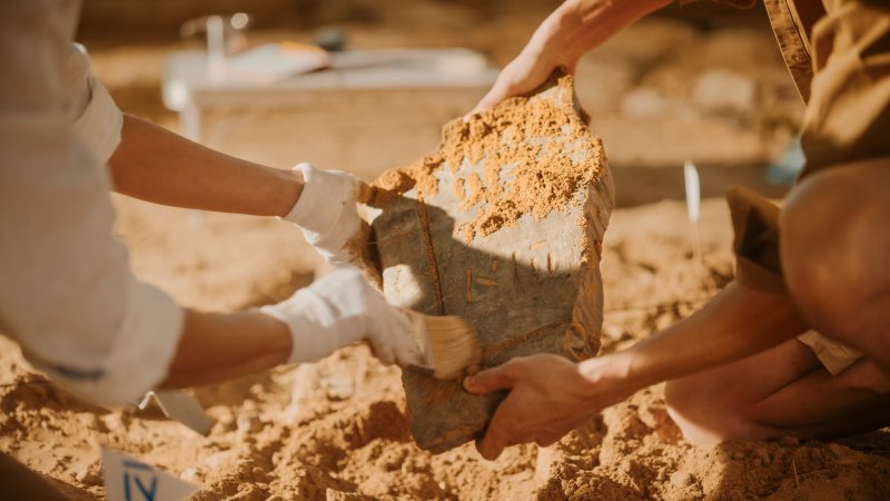 צילום: שאטרסטוק צילום: שאטרסטוק