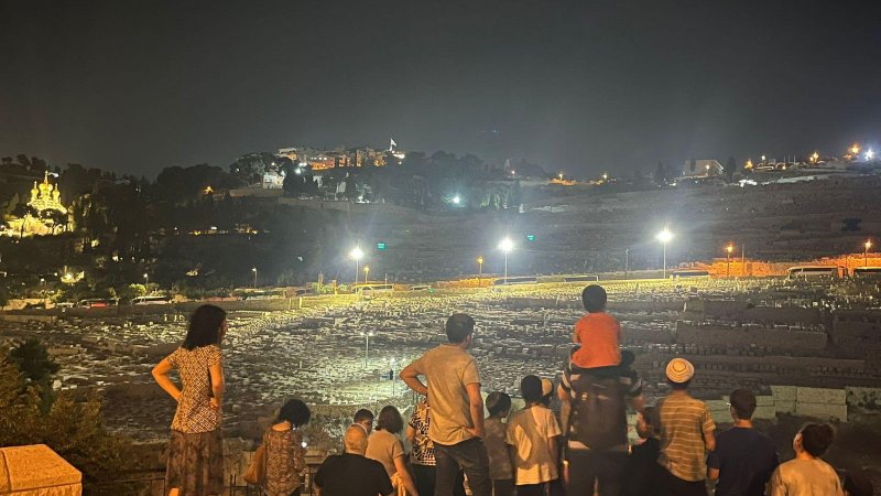 צילום: פמי צילום: פמי