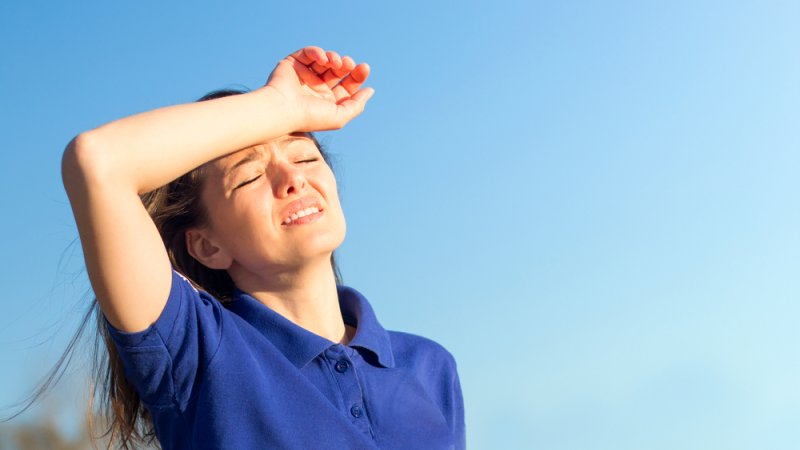 צילום: Shutterstock צילום: Shutterstock