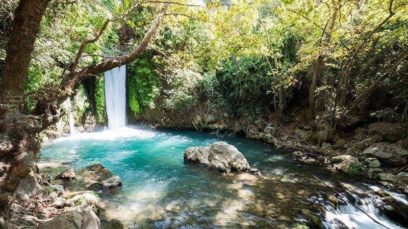 הבניאס. צילום: 123rf הבניאס. צילום: 123rf