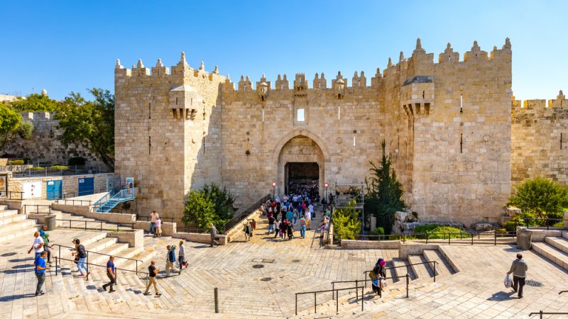 צילום: Shutterstock צילום: Shutterstock