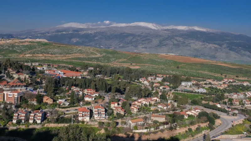 צילום: Shutetrstock צילום: Shutetrstock