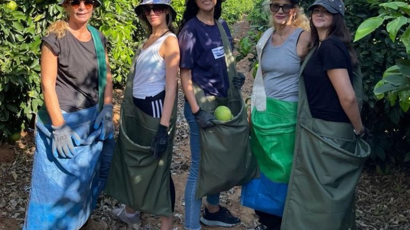 עובדי ג'יימס ריצ'רדסון מתנדבים בקטיף. צילום: יח"צ עובדי ג'יימס ריצ'רדסון מתנדבים בקטיף. צילום: יח"צ