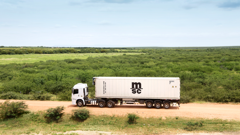 MSC Cargo. צילום: יח״צ MSC Cargo. צילום: יח״צ