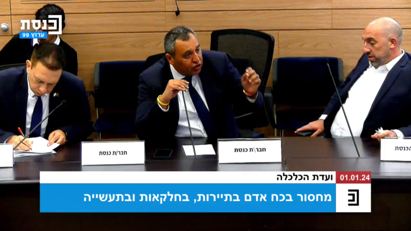 צילום מתוך דיון בוועדת הכלכלה של הכנסת צילום מתוך דיון בוועדת הכלכלה של הכנסת