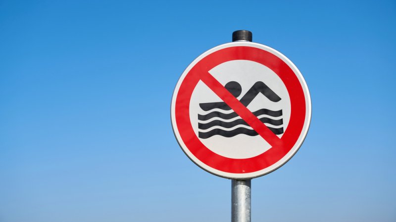 צילום: shutterstock צילום: shutterstock