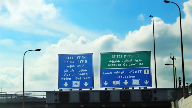 צילום: shutterstock צילום: shutterstock