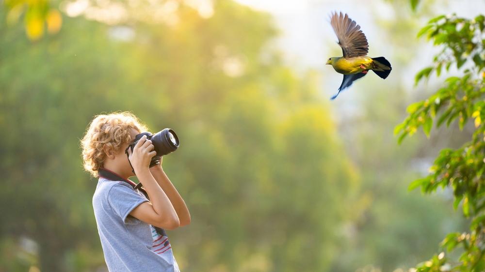 צילום: SHUTTERSTOCK