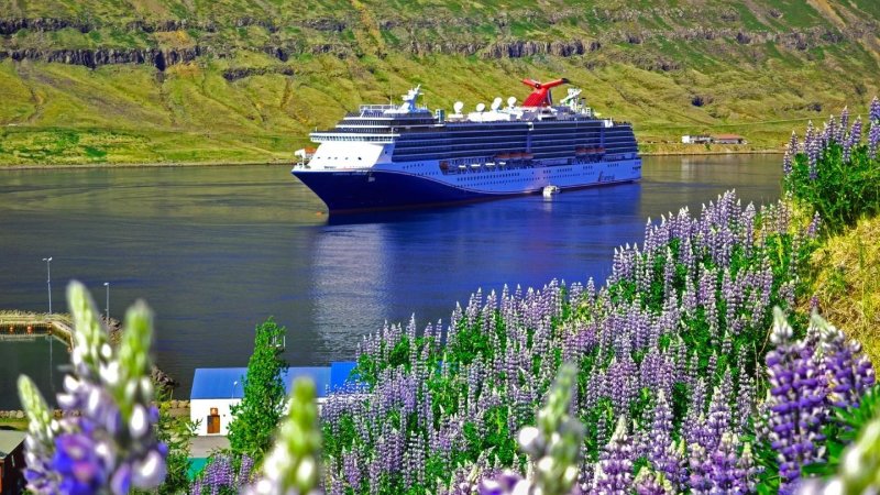 צילום: Carnival Cruise Line צילום: Carnival Cruise Line
