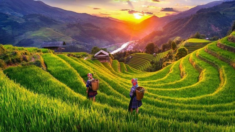Vietnam. Photo: Shutterstock