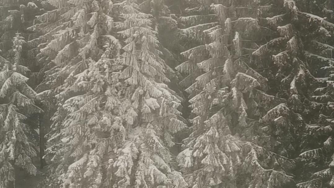 Winter storm. Photo: Alex Igna 