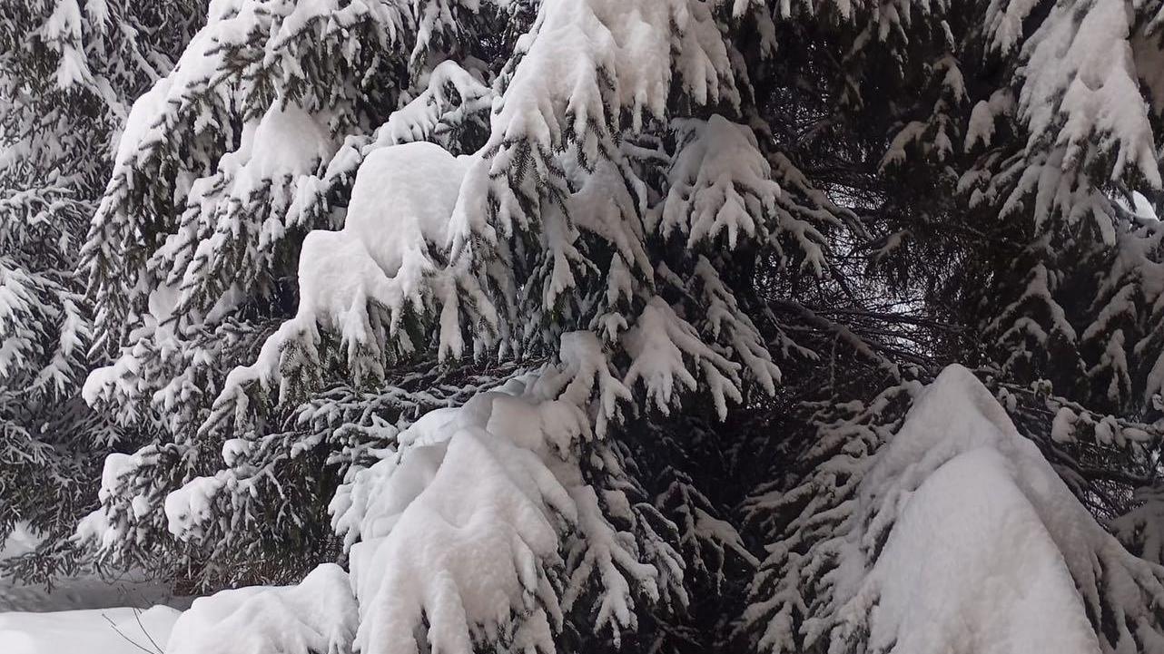 Snow. Photo: Alex Igna