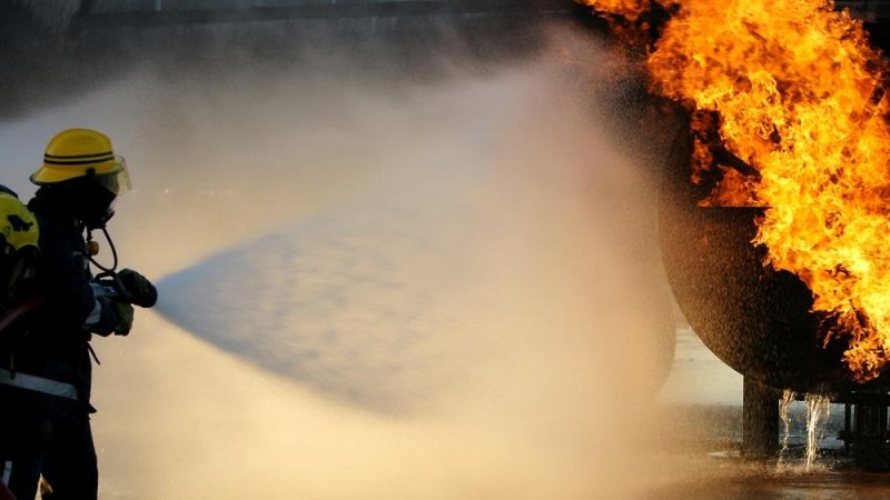 Photo: Mike Seaman / Shutterstock