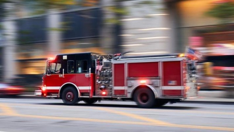 Photo illustration: Shutterstock