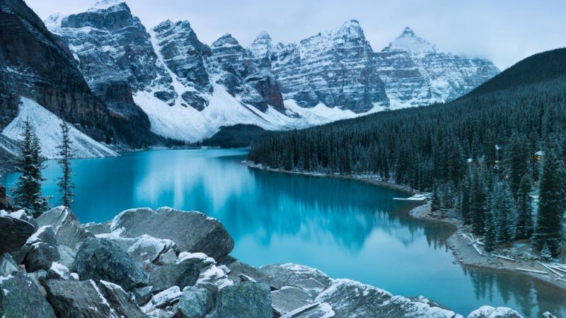 Calgary. Photo: Wirestock Creators / Shutterstock.com