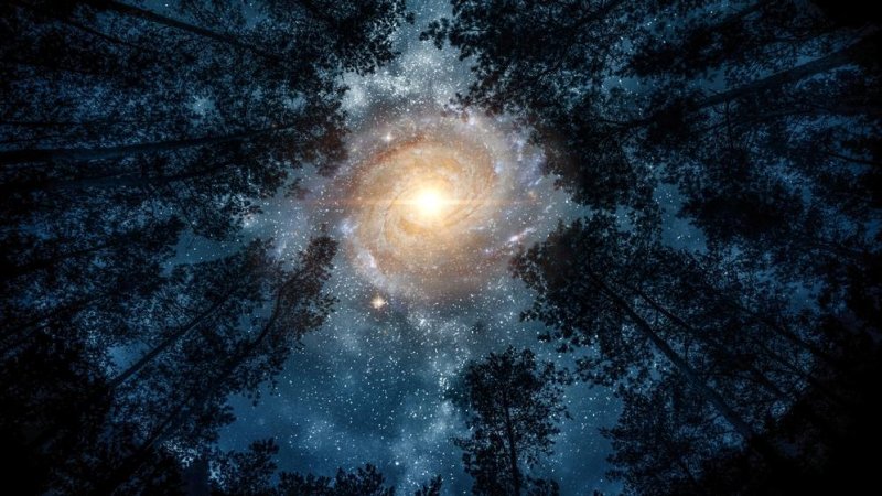 Stargazing. Photo: Triff / Shutterstock