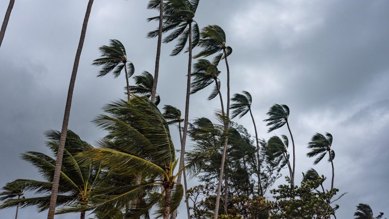 Weather warning in the US. Photo: NoemiEscribano / Shutterstock