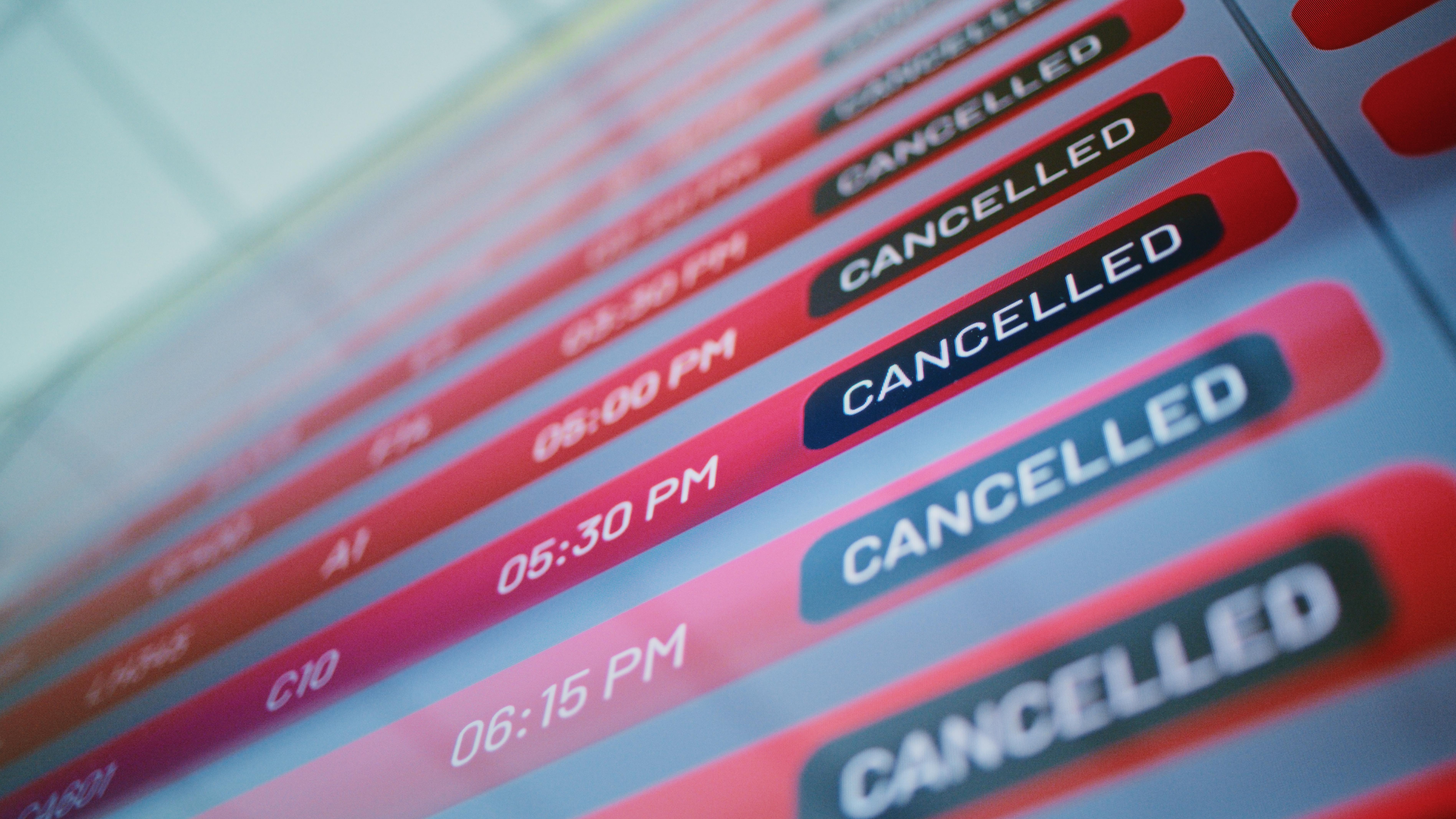 Photo: Frame Stock Footage / Shutterstock