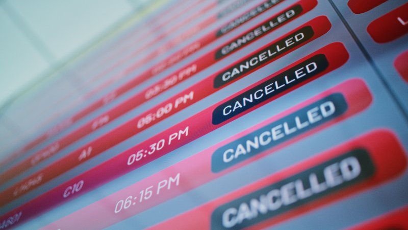 Photo: Frame Stock Footage / Shutterstock