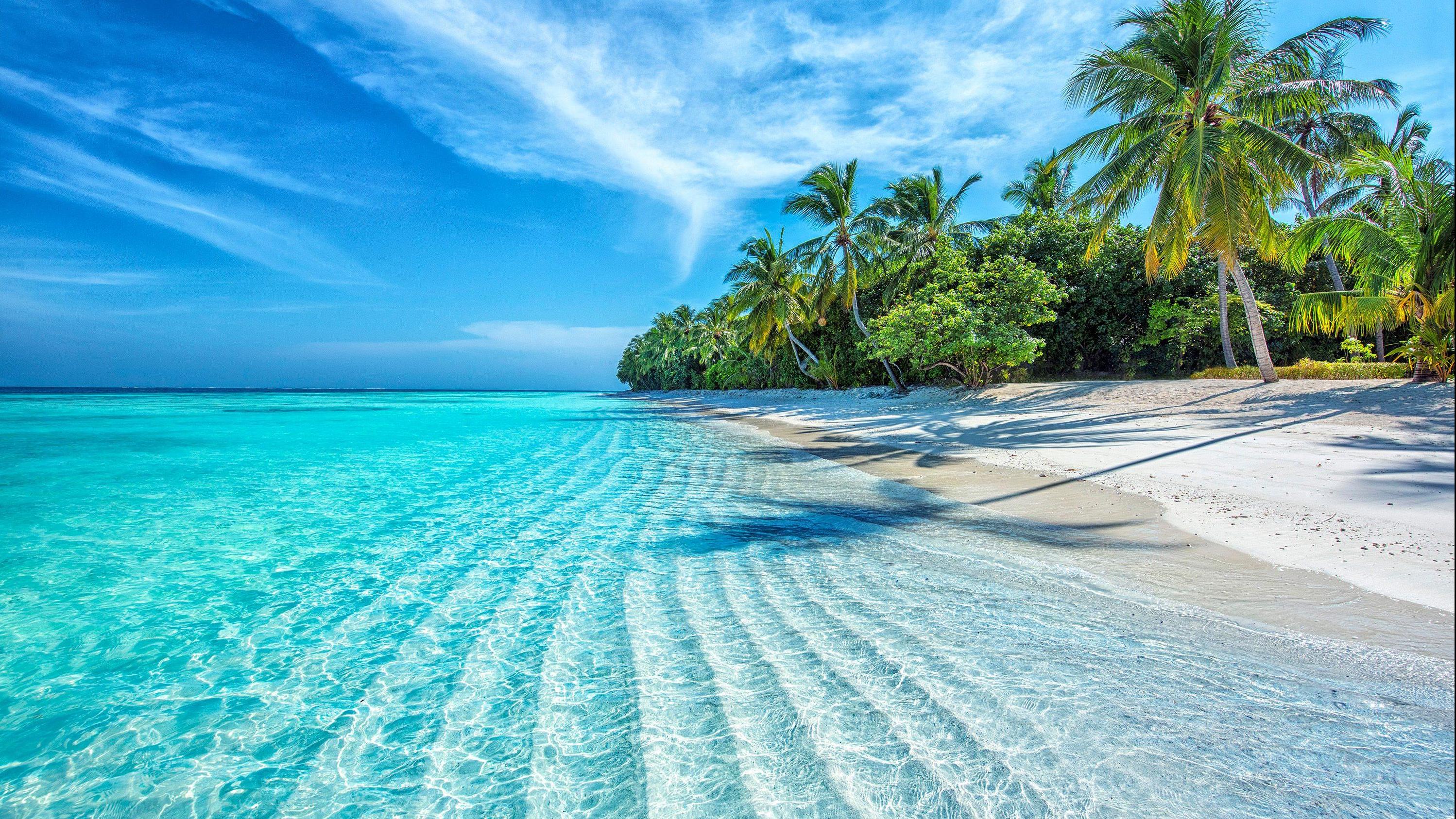 Photo: Shutterstock