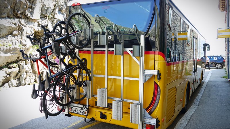 Photo: MikeDotta / Shutterstock