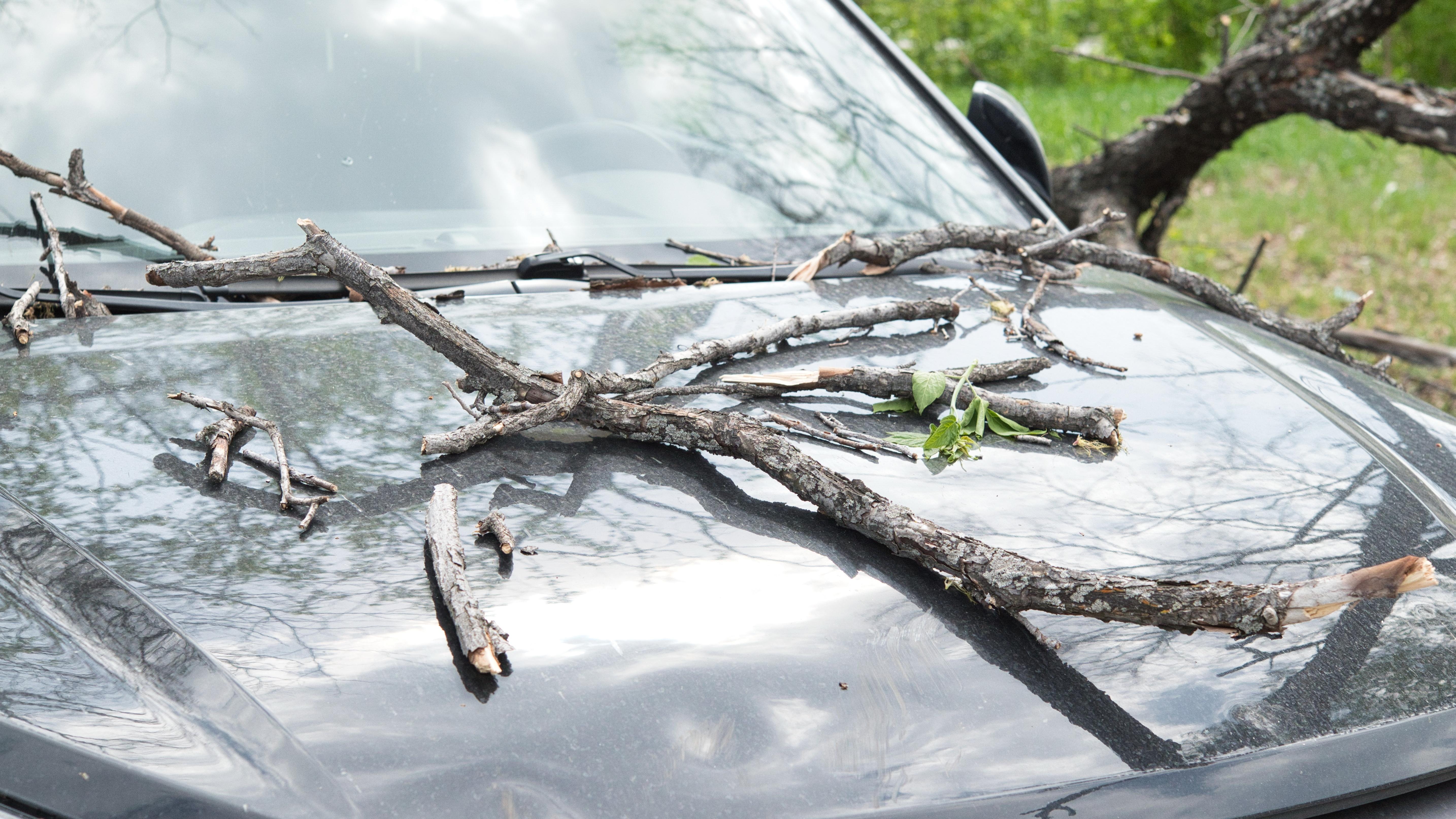 Strong wind warnings in Croatia and Italy. Photo: Shutterstock