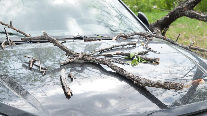 Strong wind warnings in Croatia and Italy. Photo: Shutterstock